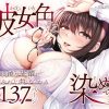 D 538205pl