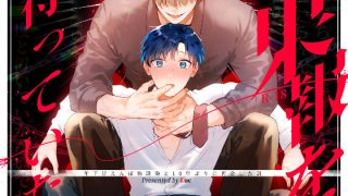D 538330pl