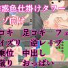 D 705234pl
