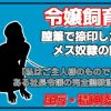 D 755495pl