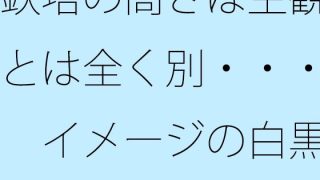 D 777967pl