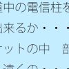 D 778691pl