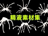 精液素材集